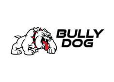 BullyDog